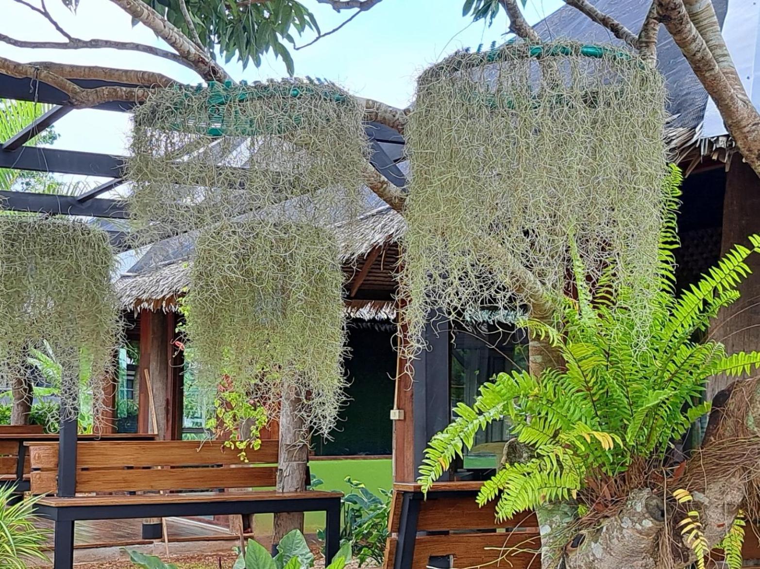 Kham Ecolodge Chiang Saen Luaran gambar